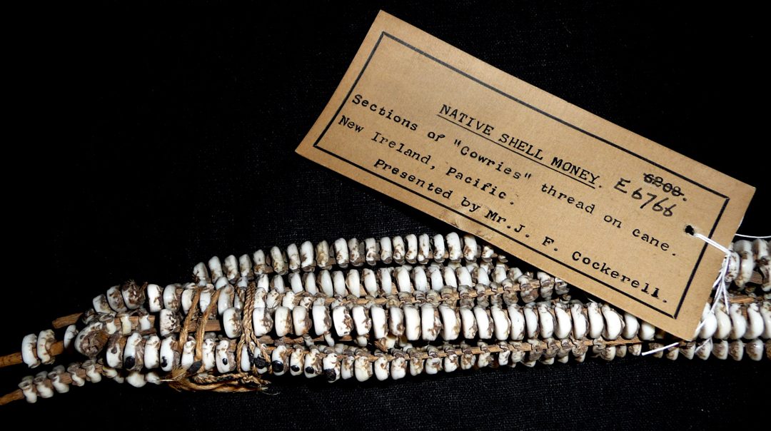 COWRIE SHELLS: AMONG THE WORLD’S OLDEST CURRENCIES